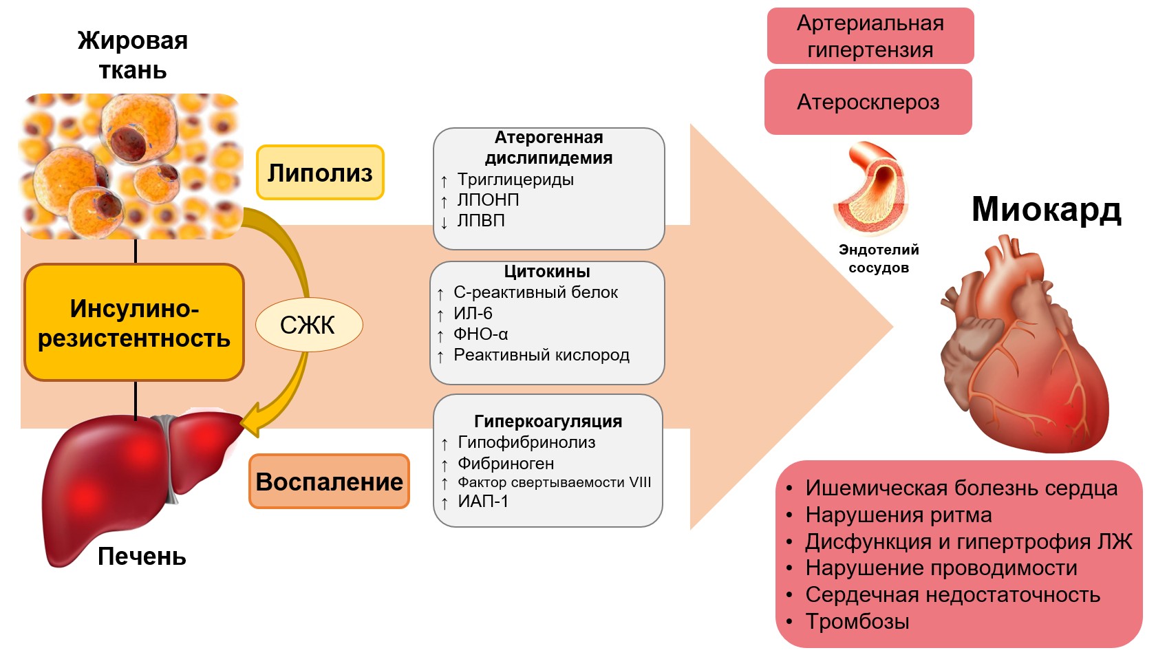 Неалкогольная болезнь